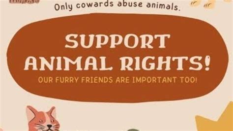 A Voice for the Voiceless: Advocating for Stricter Animal Welfare Laws