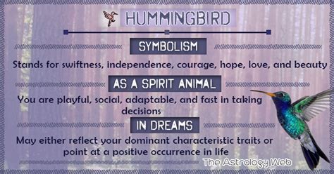 A Winged Paradox: Understanding the Contradictions in the Symbolism of a Motionless Hummingbird