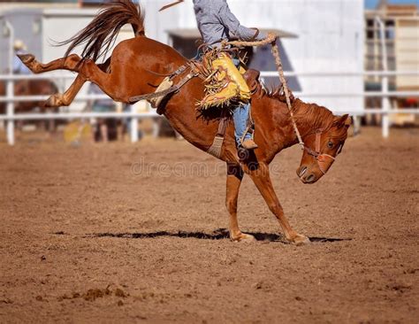 A World of Competition: Exploring the Exciting Realm of Bucking Horse Rodeos