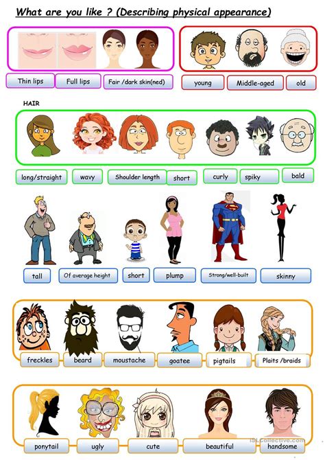 A breakdown of their physical appearance