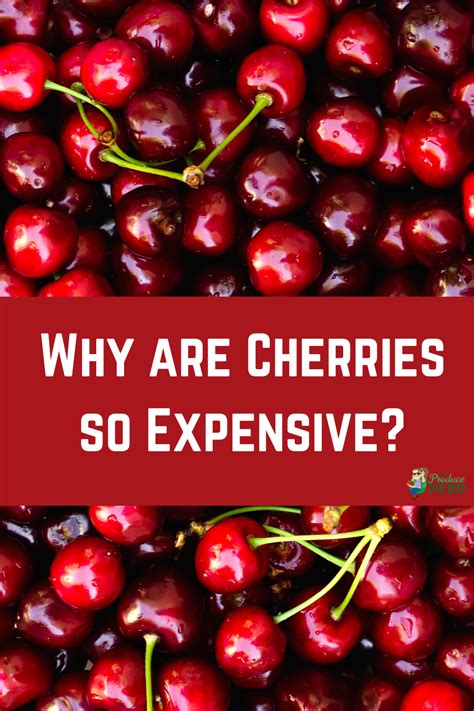 A brief overview of who Cherry Price is