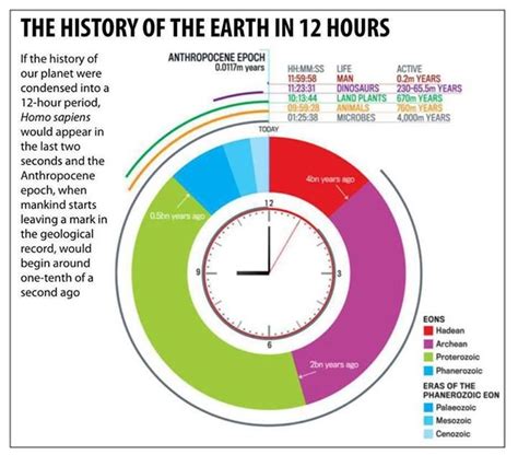 A look into the number of years this individual has been on this Earth