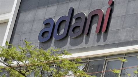 Aashi Adani: Business Ventures and Investments