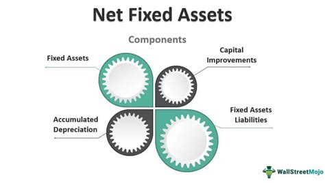 Accumulated Net Worth and Assets