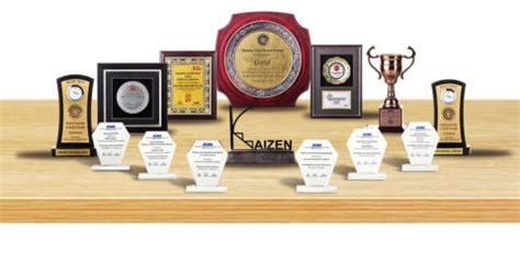 Achievements and Awards of Swan Ahe