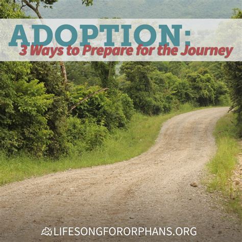 Adoption Journey: Preparing for and Anticipating the Arrival of Your Furry Friend