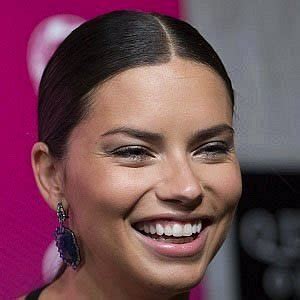 Adriana Lima's Wealth and Income Sources