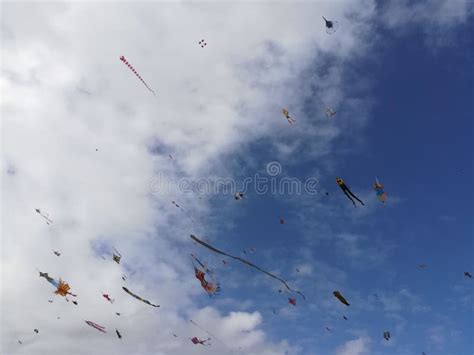 Aerial Ballet: Choreographing the Skies with Drifting Kites