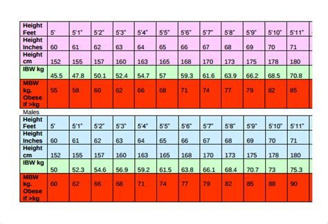 Age, Elevation, and Physique Details