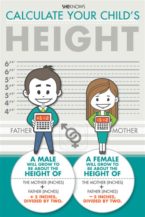 Age, Height, Figure: What You Should Know