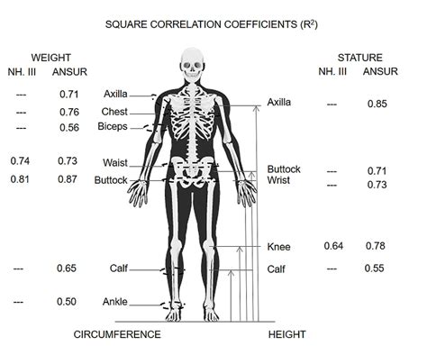 Age, Stature, and Physique of Members