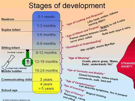 Age and Early Life Insights