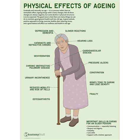 Age and Physical Attributes