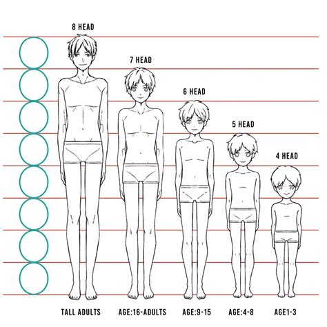 Age and Stature of the Esteemed Character