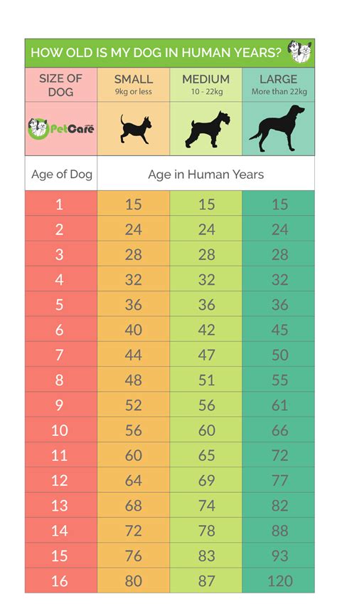 Age of Vinnegal: How Many Years Does She Have?