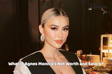 Agnes Monica's Net Worth and Financial Success