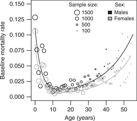 Alena Fritz: Early Life and Background