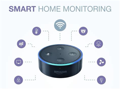 Alexa's Current Projects and Future Plans