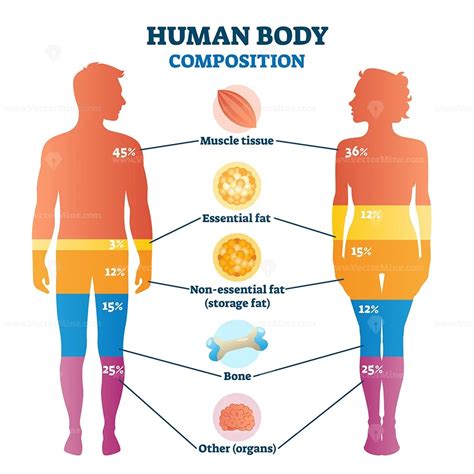 Aliya's stature and physical composition