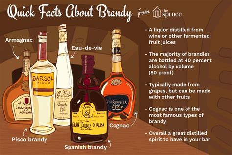 All About Brandy Wine Biography