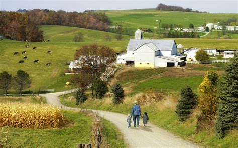 Amish Hill's Background and Early Life