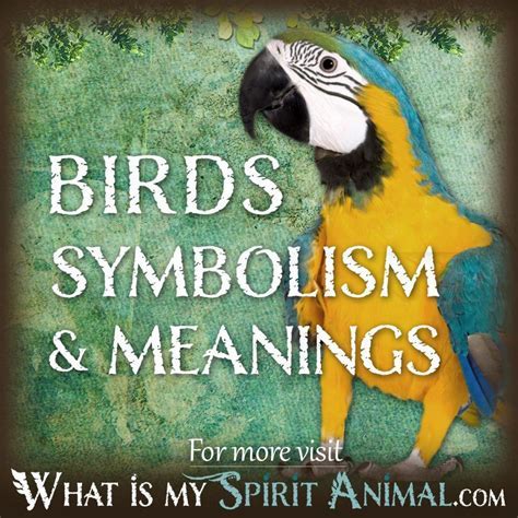 An Analytical Approach to Decoding the Symbolism of Nurturing Juvenile Avians in Dreams