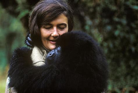 An Examination of Daisy Fossey's Figure