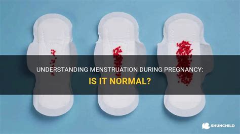 An Exploration of Common Experiences: Understanding Dreams about Menstruation During Pregnancy