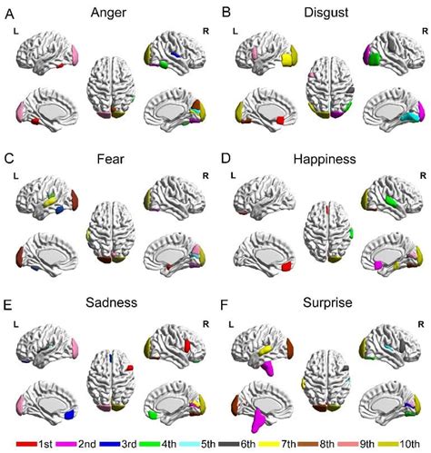 An Exploration of Concealed Emotional Patterns