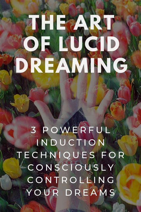 An Exploration of Lucid Dreaming: The Art of Controlling your Dreams