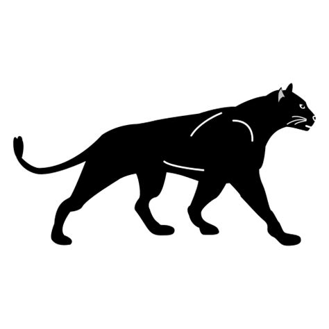 An Exploration of the Infant Panther as a Symbol of Development and Metamorphosis