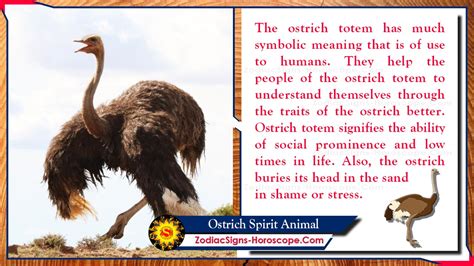 An Exploration of the Ostrich as a Symbolic Figure in Dreams