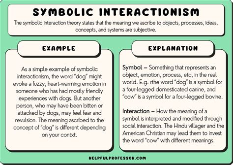 An In-Depth Analysis of Symbolic Interpretations