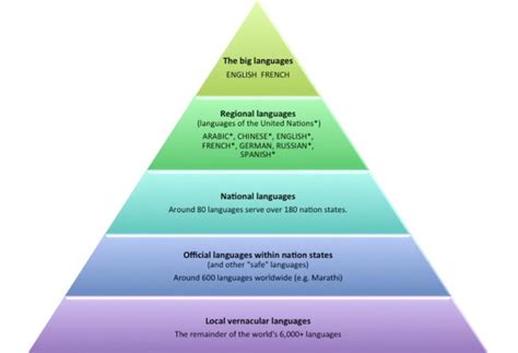 An In-Depth Look at Sophie's Linguistic Stature and Physical Dimensions