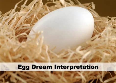 An Insight into Dream Psychology: Exploring the Symbolic Significance of Snake Eggs Hatching