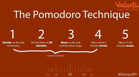 An Introduction to the Enigmatic Miss Pomodoro