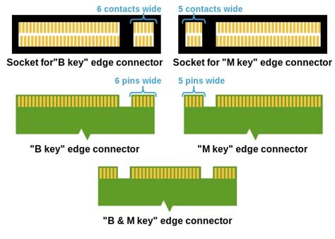 An Overview of Echika's Physical Measurements