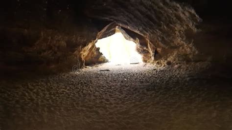 An Underground Journey: Discovering the Intricacies of the Burrows