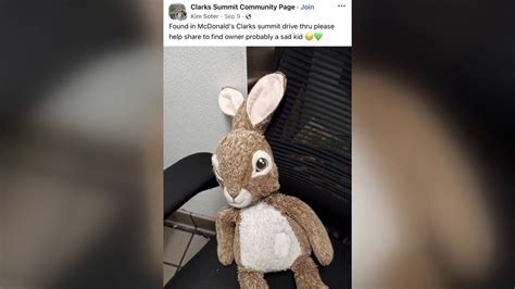 An Unusual Attachment: The Power of an Emotional Connection with a Beloved Stuffed Animal