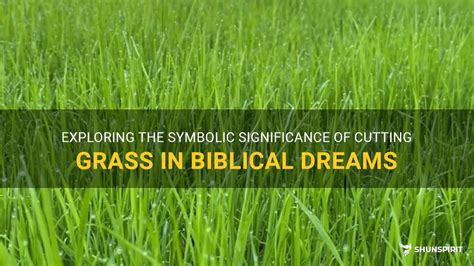 An Unusual Symbolic Vision: The Enigmatic Significance of Grass Sprouting on the Human Form 