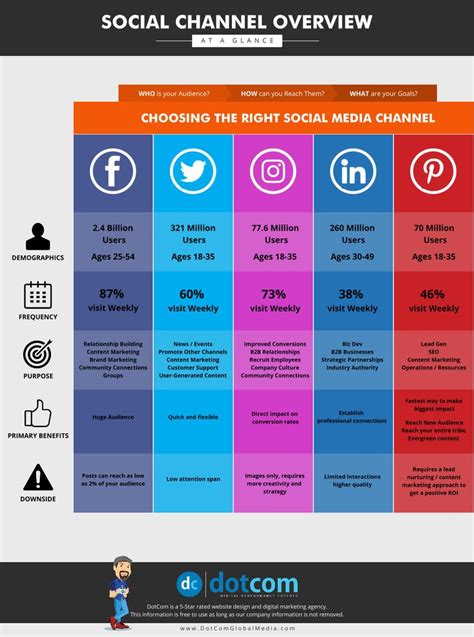 An overview of Chanel Banks' social media accounts and followers