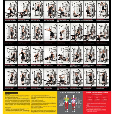 Analyzing Caralia Deluxe's Figure and Fitness Routine