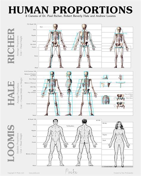 Analyzing Daytona Hale's Figure