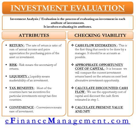 Analyzing Harlow Nyx's Financial Status