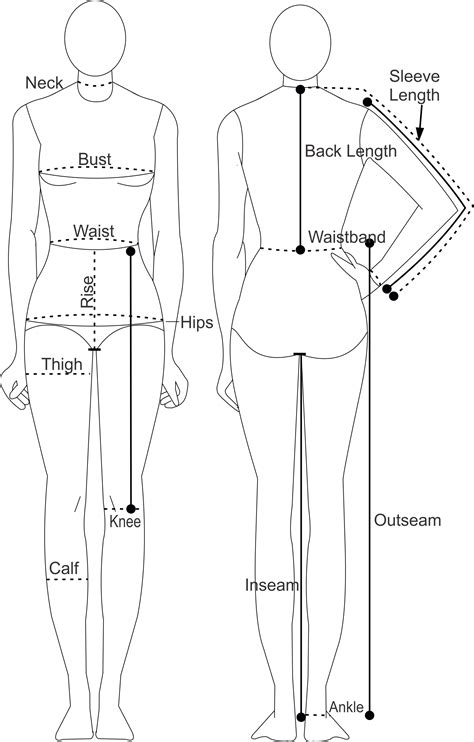 Analyzing Jane Rogers' Figure and Body Measurements