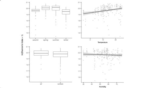 Analyzing Shannon Stewart's Figure and Style