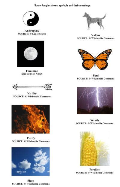 Analyzing the Archetypal Symbols in Dreams of Multiple Ivory Serpents