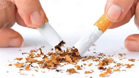 Analyzing the Connection Between Paternal Influence and Tobacco Use in Dream Symbolism