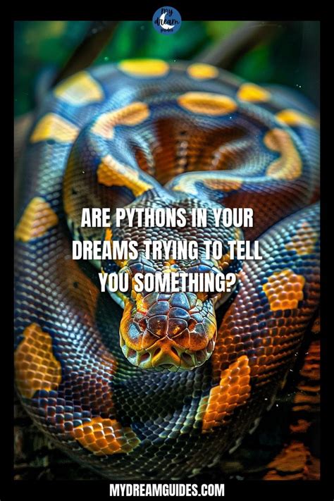 Analyzing the Cultural Interpretation of the Python in Dreams