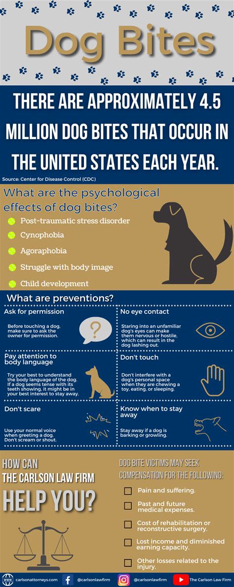 Analyzing the Emotional Impact of Canine Arm Bites in Dreams